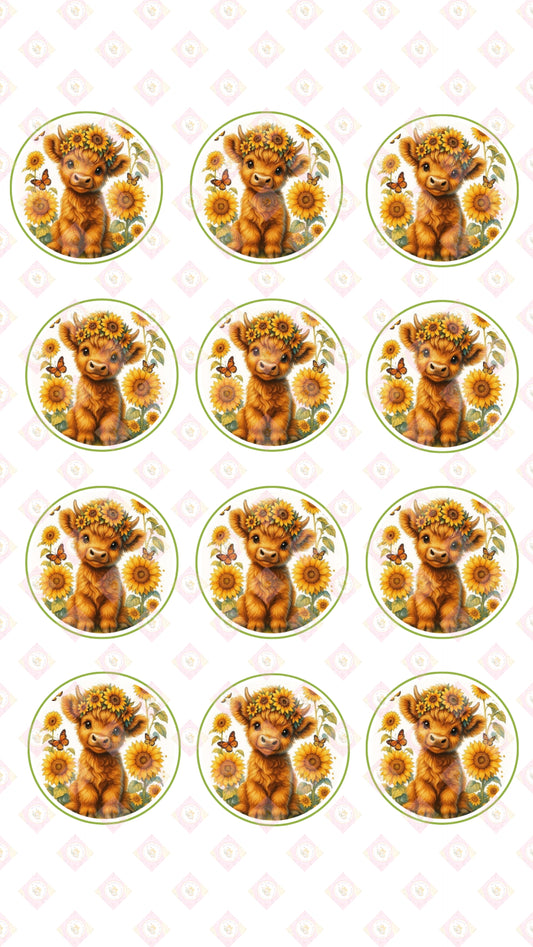 Sunflower Cows Collection