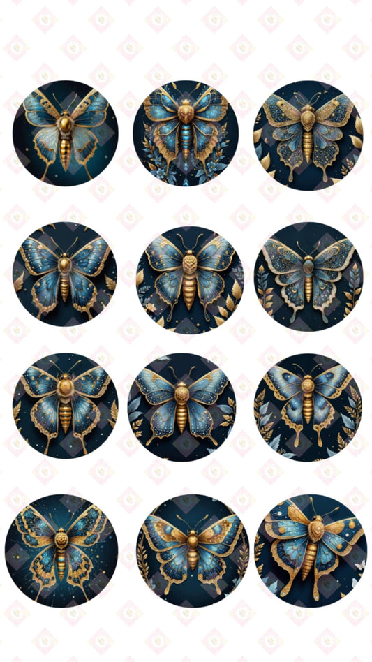 Butterfly Collection