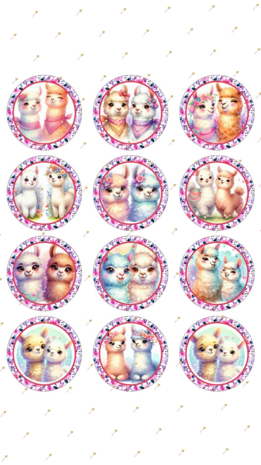 Lama Collection