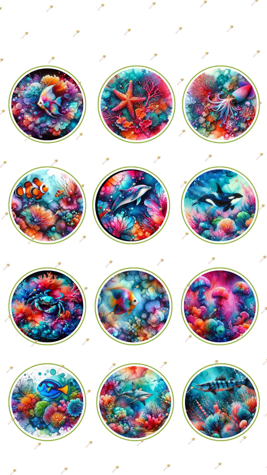 Sea Life Collection