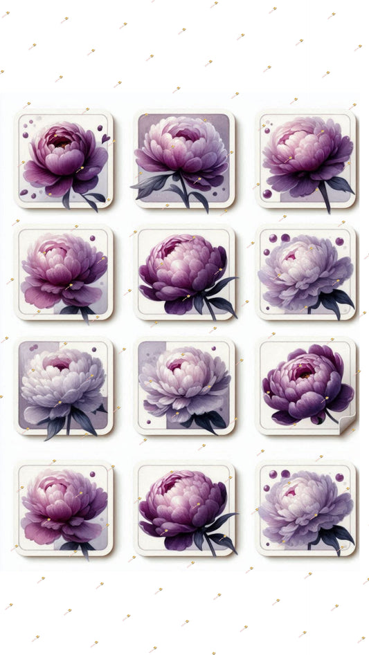 Purple Collection
