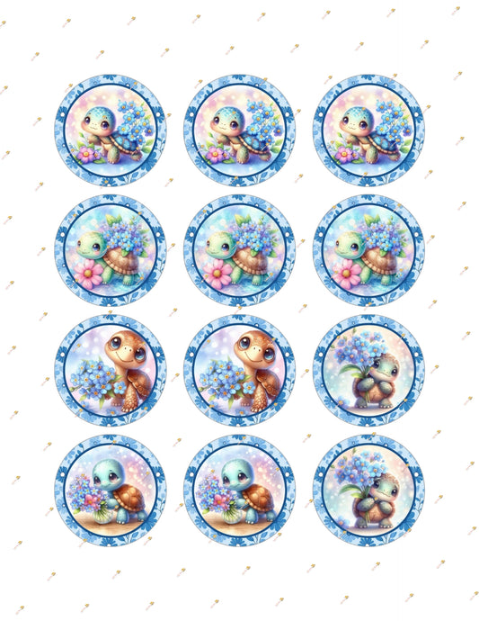 Flower Turtle Collection