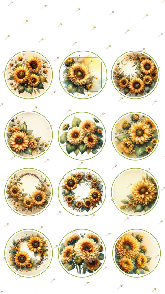 Sunflower Collection