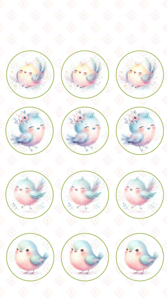Little Bird Collection
