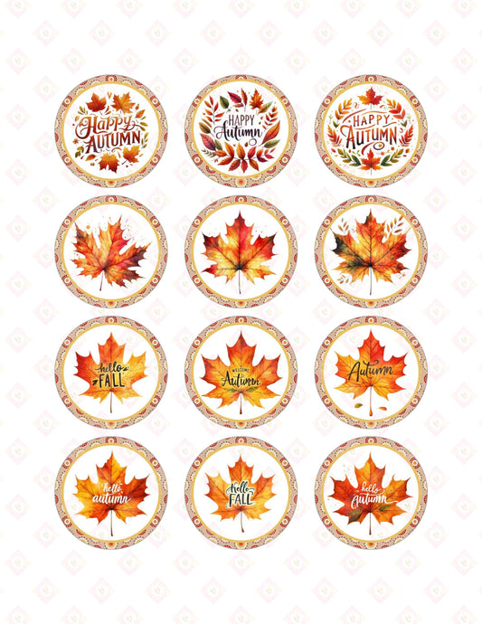 Happy Autumn Collection
