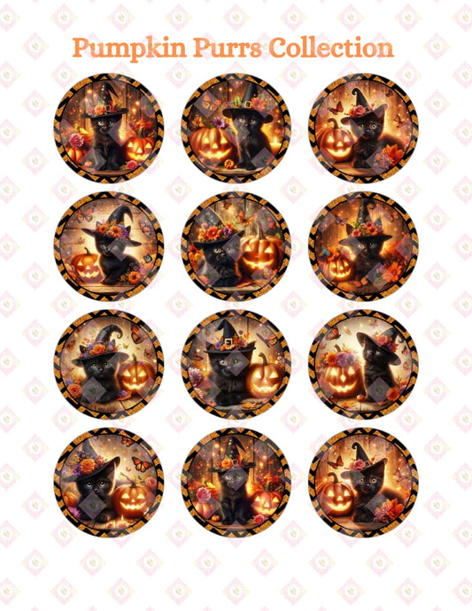Pumpkin purrs collection