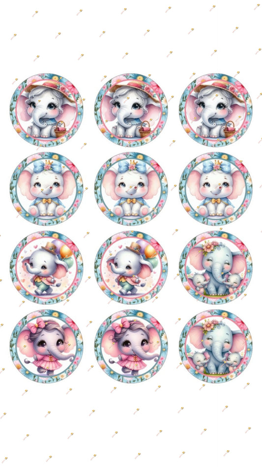 Baby Elephant Collection