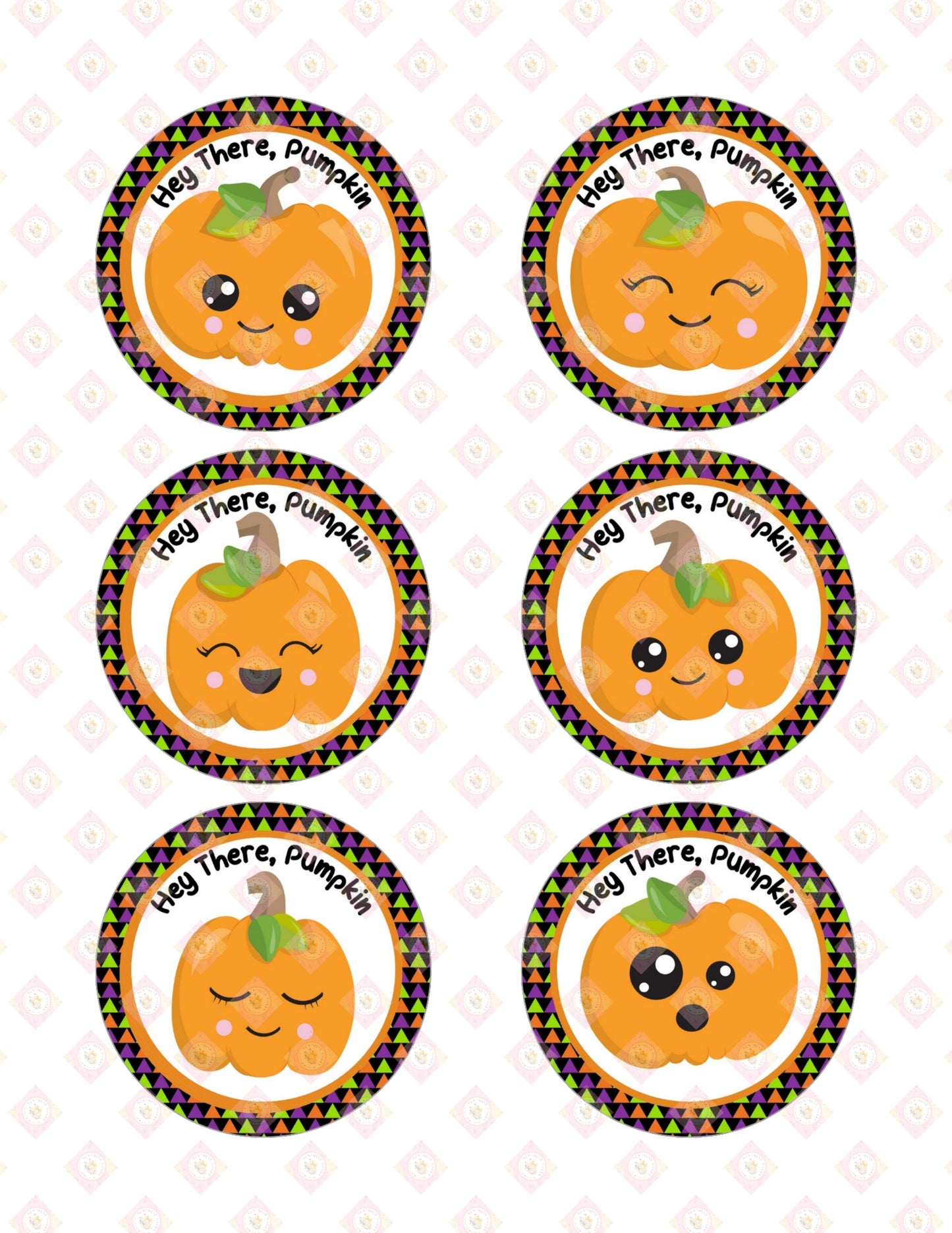 Pumpkin Collection