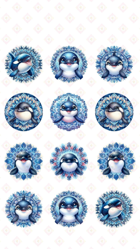 Blue Whale Collection
