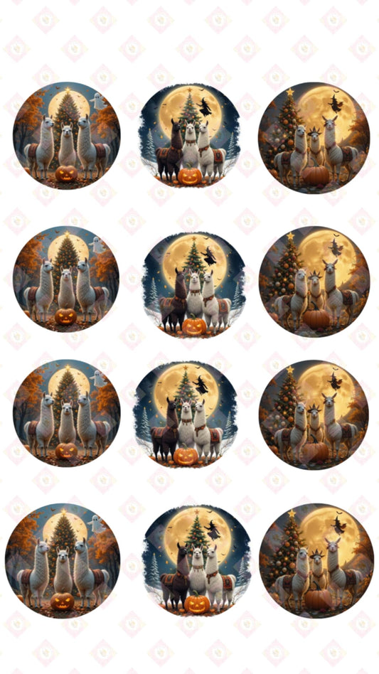 Lama Fall Collection