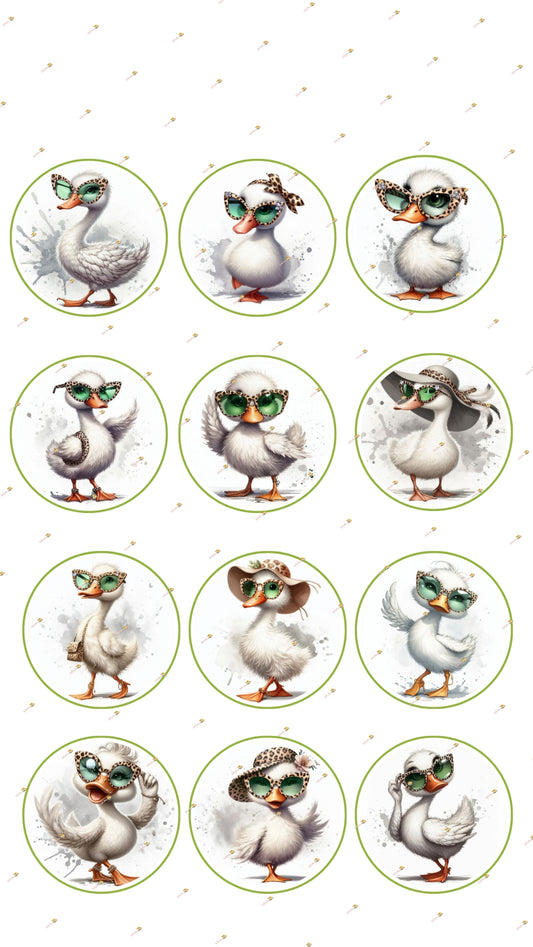 Cute Ducks Collection