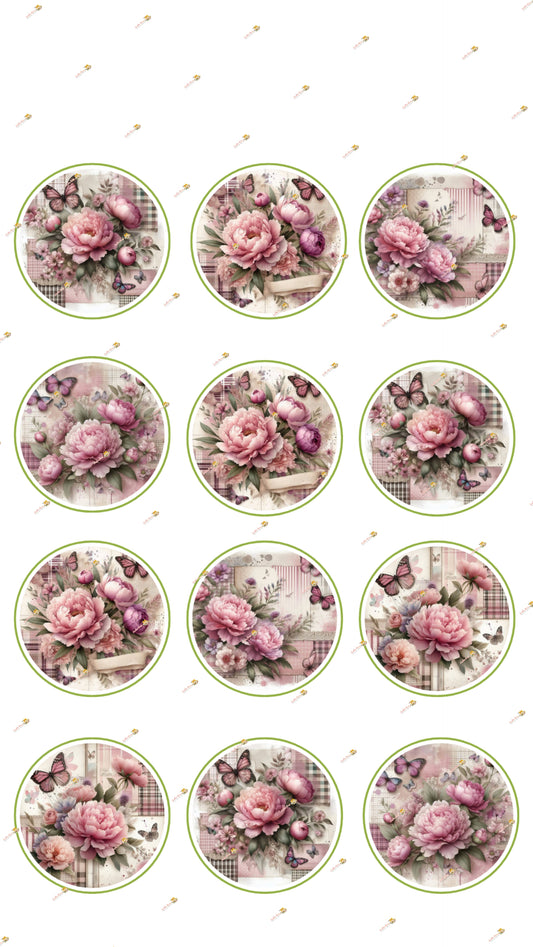 Pink Collection