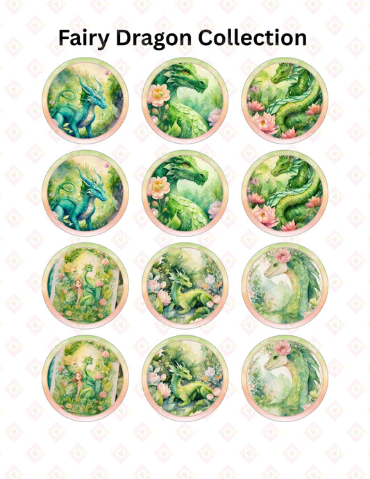 fairy dragon colletion
