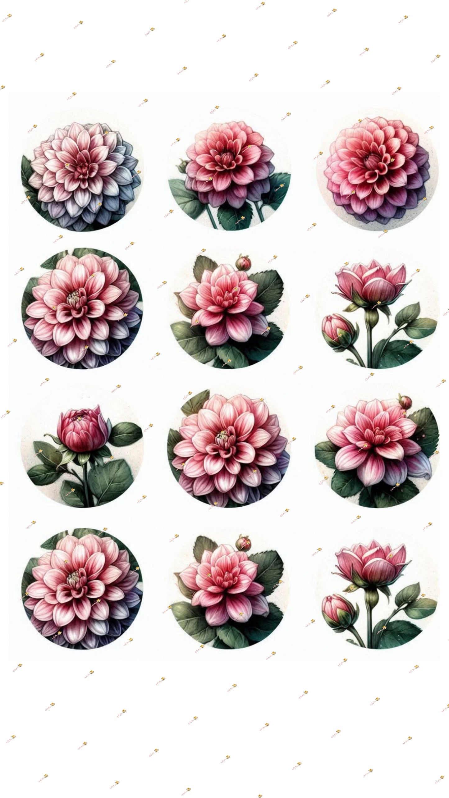 Pink Collection 3
