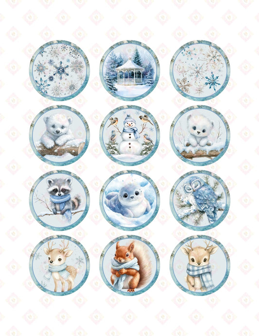 winter collection 10