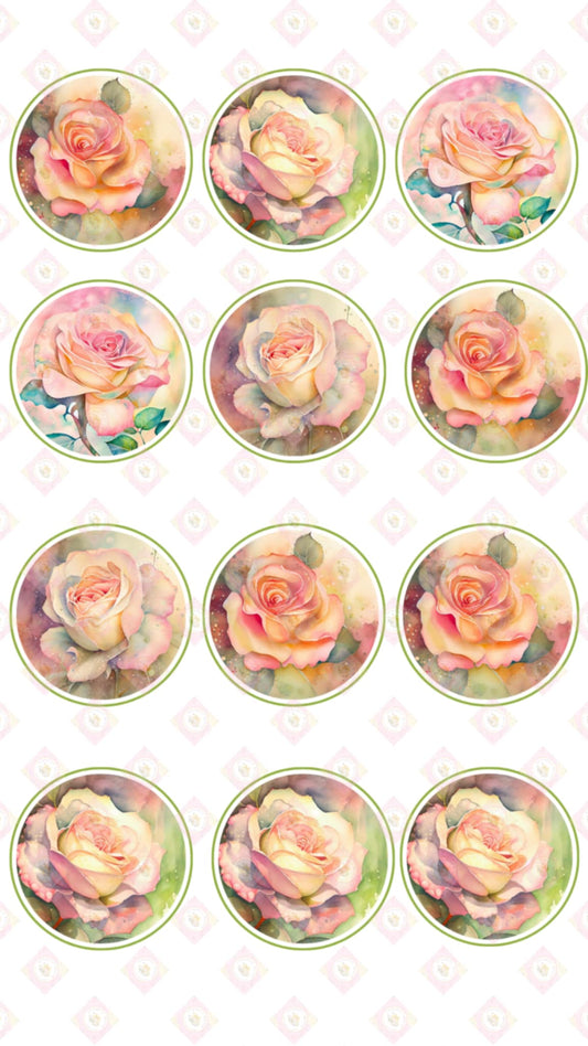 Rose Collection