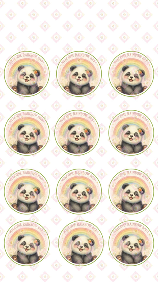 Rainbow Baby Collection