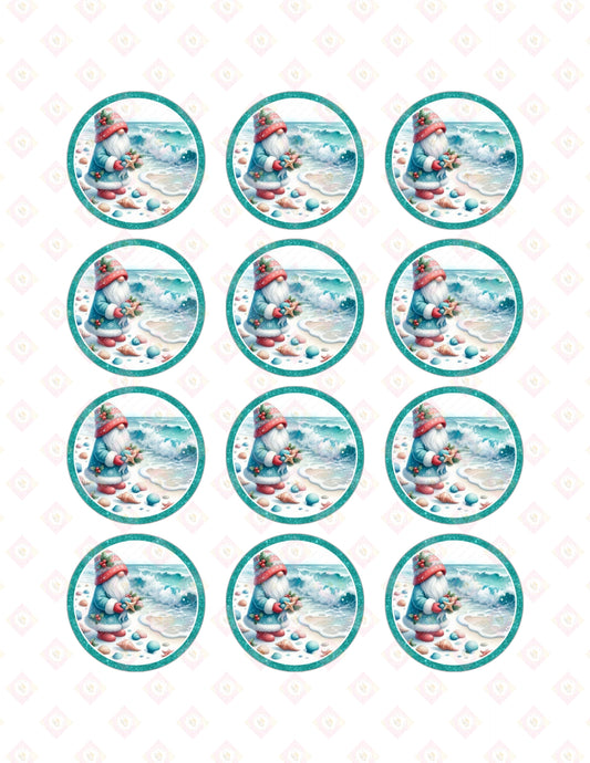 Ocean Gnome Collection