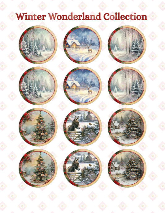 winter wonderland