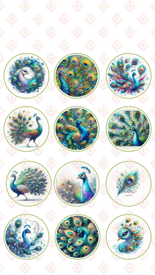 Peacock Collection