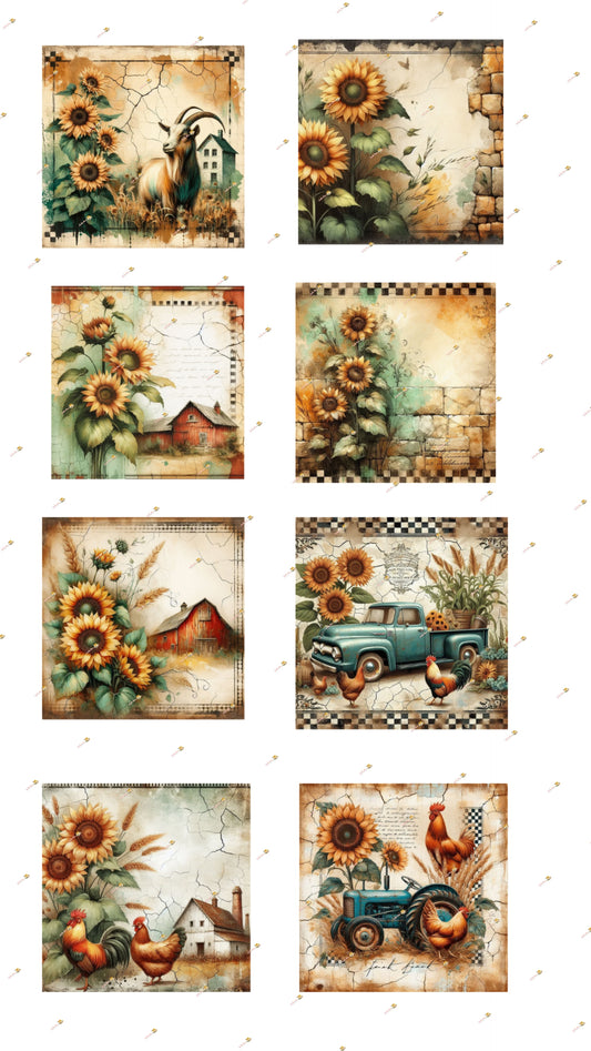 Fall Barn Collection 2