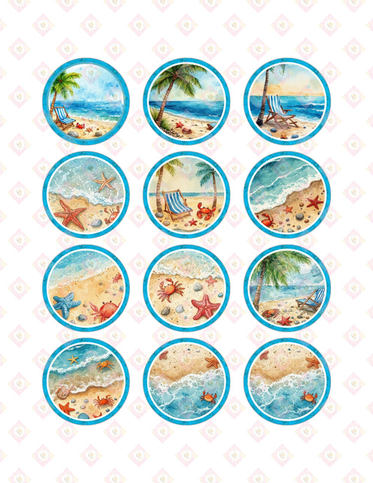 Crab Collection