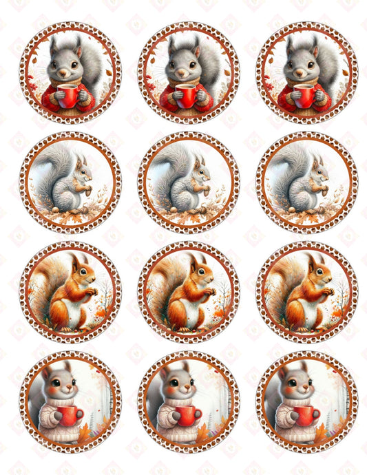 Fall Squirrel Collection