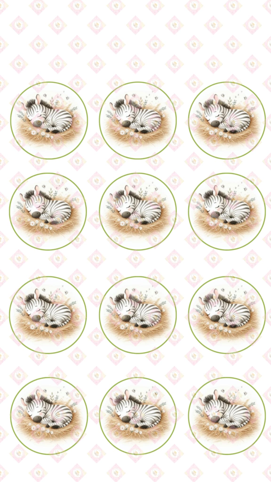 Baby Zebra Collection