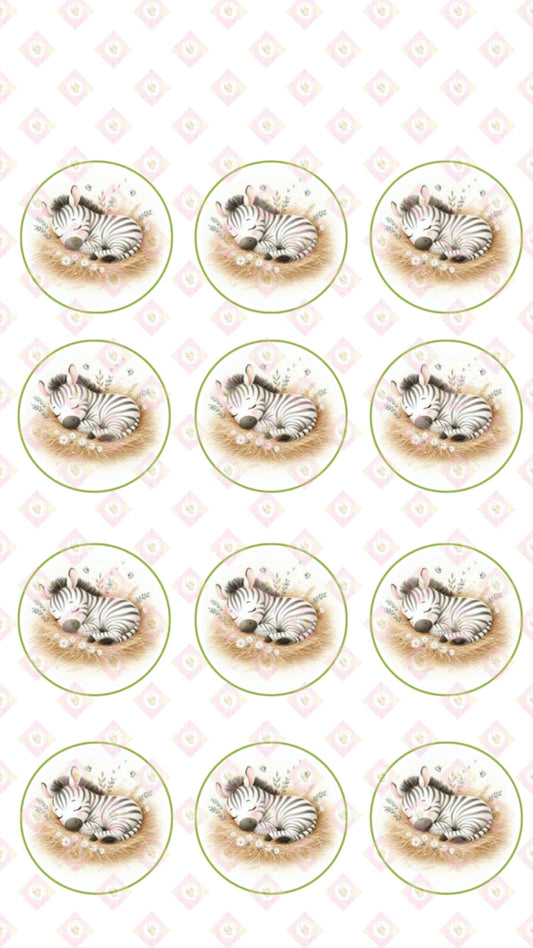 Baby Zebra Collection