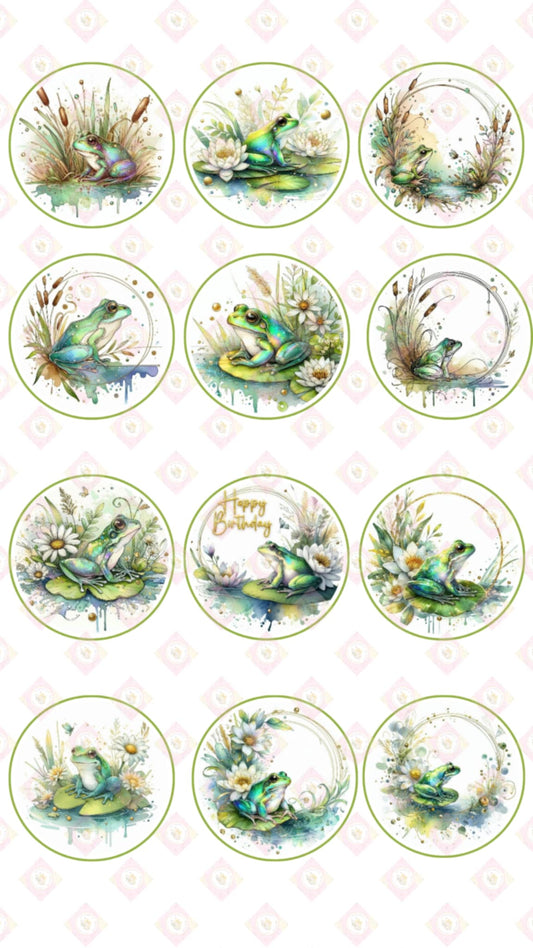 Daisy Frog Collection