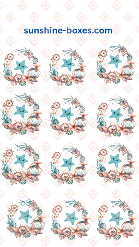 Starfish Collection