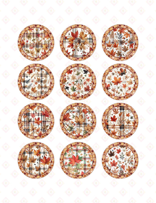 Fall Prints Collection