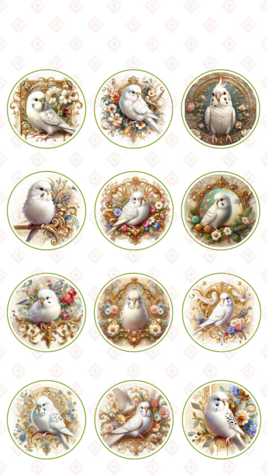 Bird Collection