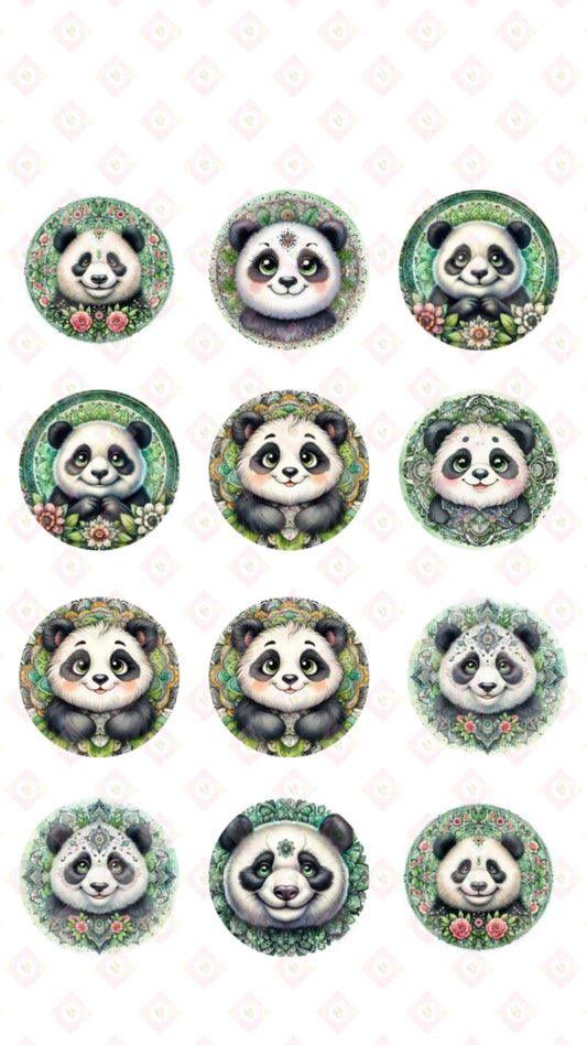 Zoo Babies Collection
