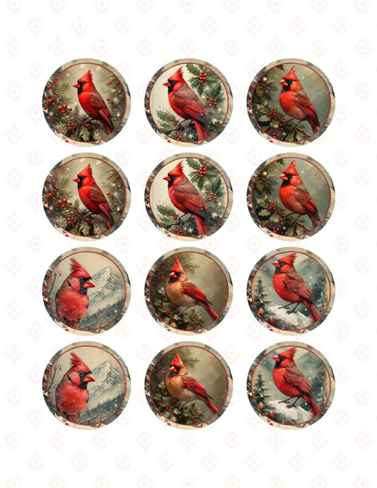 Vintage Cardinal Bird Edible Cupcake Toppers for Christmas Baking | Pre-Cut Winter Wildlife Sugar Images for Rustic Holiday Cake Decoration.