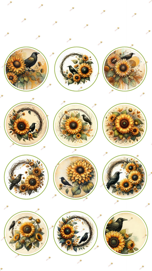 Crow Sunshine Collection