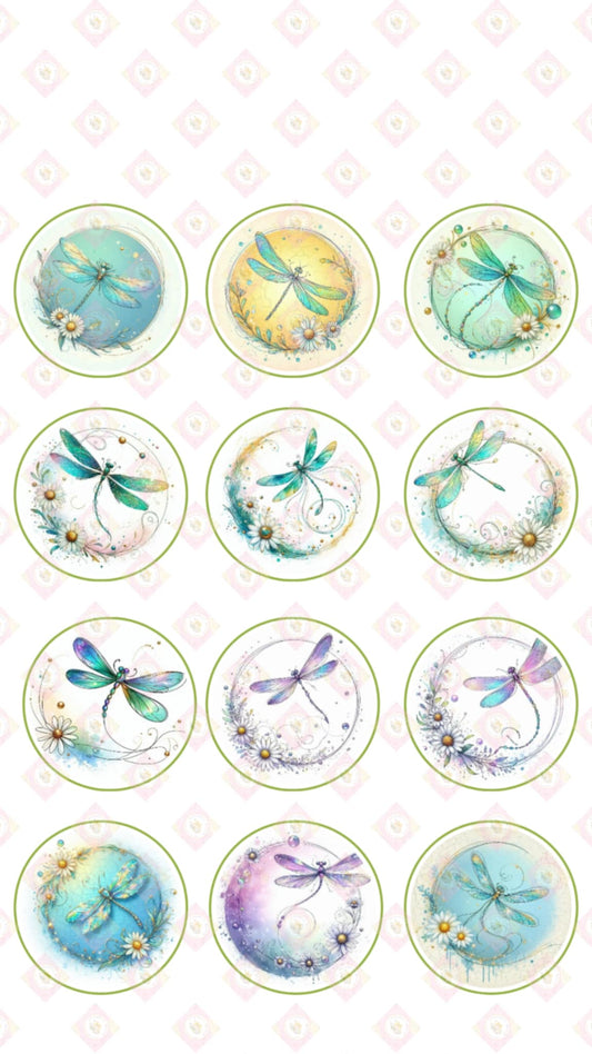 Dragon Fly Collection