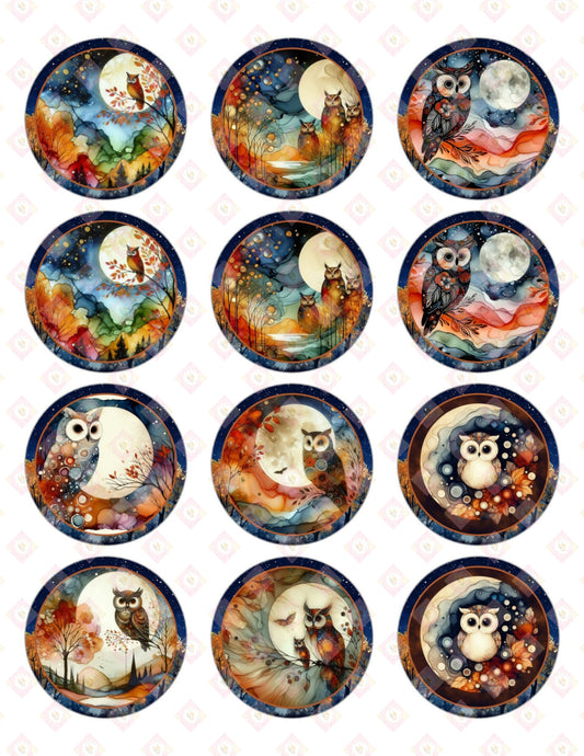 Night Owl Collection