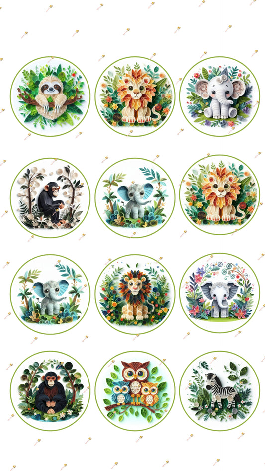 Safari Collection