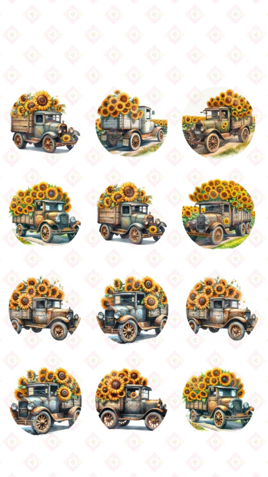Sunshine Truck Collection