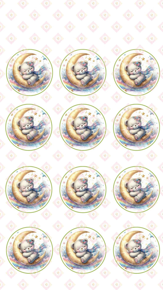 Teddy Moon Collection